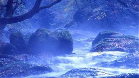 机智问答网页你觉得中医是一种伪科学吗?,我们为您提供智能解答
